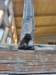 _153727_small.jpg