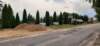 fot02_small.jpg