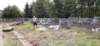 fot07_small.jpg